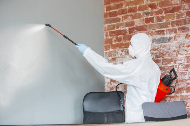 Best Emergency Mold Remediation  in Wilder, ID